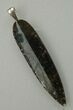 Black Spiderweb Dinosaur Gembone Spear Pendant #22525-2